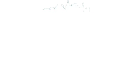 US Department of the Treasury Certified CDFI