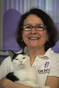Wendy Decker, Executive Director of Cat Haven